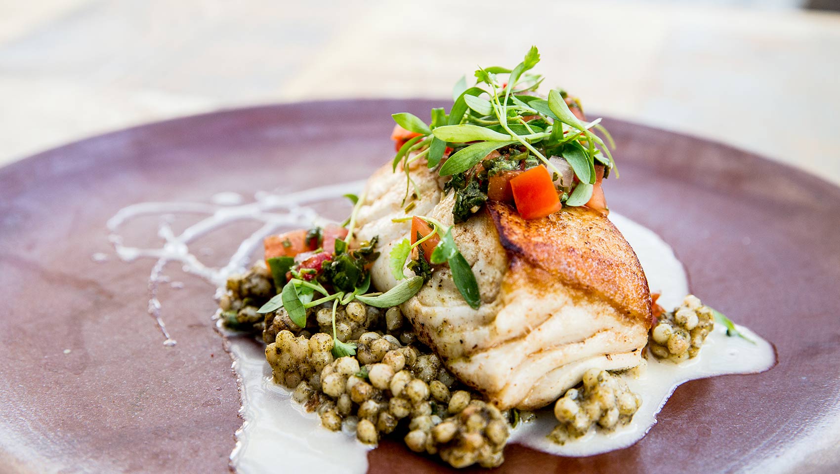 Closeup of fish entree